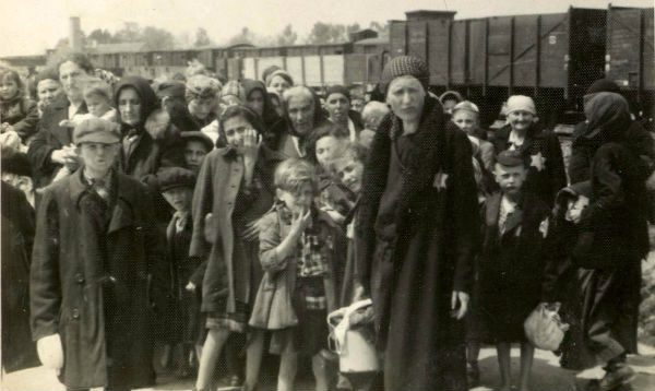 Holocaust Study Auschwitz Album Yad Vashem